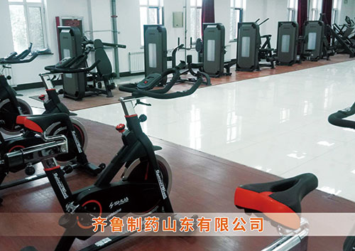 ?VSPORTS体育官网體育為齊魯制藥呼和浩特分公司打造健身房
